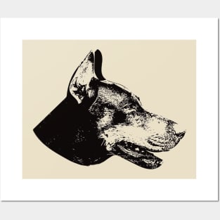 Dobie Doberman Pinscher Posters and Art